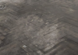 WhatsApp Image 2025-11-09 at 15.28.49(2)